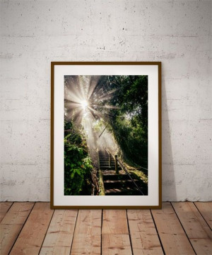 God light - plakat premium 60x80 cm