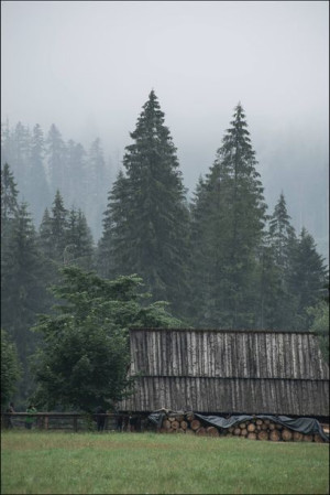 Dolina Chochołowska, Tatry - plakat premium 40x50
