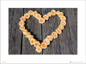 Heart Roses - plakat premium 50x40 cm