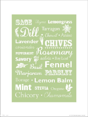 Herbs Type - plakat premium 30x40 cm
