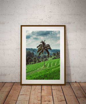 Jatiluwih tree - plakat premium 42x59,4 cm