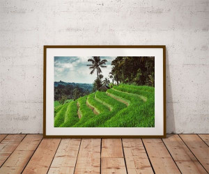 Jatiluwih - plakat premium 80x60 cm