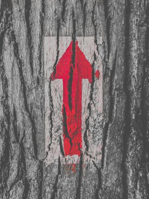 Kierunek - plakat premium 30x40 cm