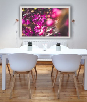 Jabłoń - plakat premium 29,7x21 cm