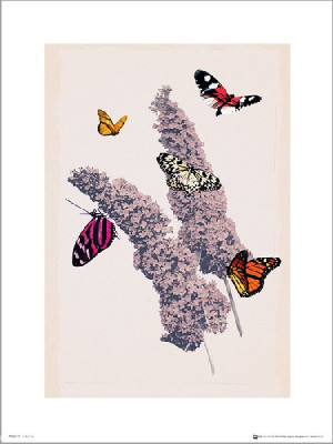 Motyle Butterflies Flowers - plakat premium 30x40