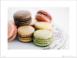 Makaroniki Macaroon Vintage Plate - plakat premium