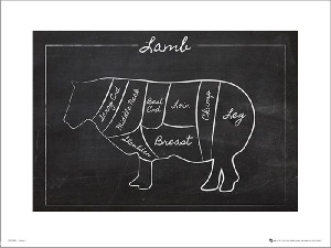 Lamb Chalk - plakat premium 40x30 cm
