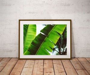 Leaf - plakat premium 100x70 cm