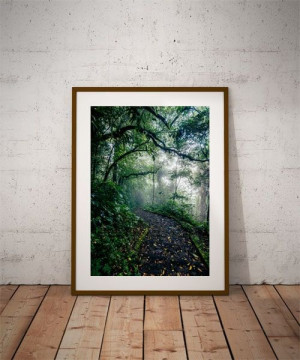 Path - plakat premium 61x91,5 cm