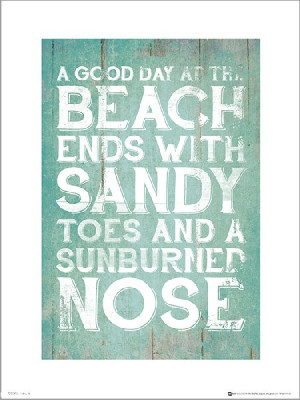 Sandy Toes Sunburned Nose - plakat premium 40x50 c