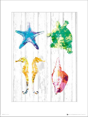 Seaside Quad - plakat premium 40x50 cm