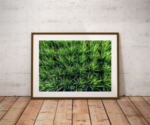 Rice - plakat premium 40x30 cm