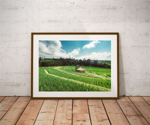 Pola - plakat premium 30x20 cm