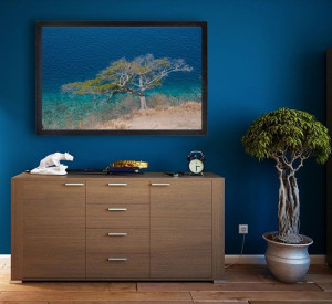 Samotne drzewo - plakat premium 100x70 cm