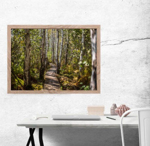 Ścieżka  - plakat premium 42x29,7 cm
