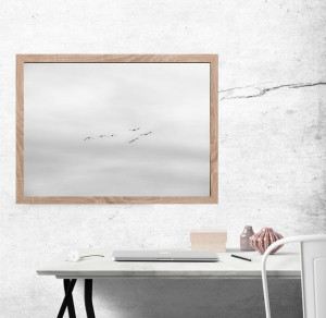 Ptaki - plakat premium 100x70 cm