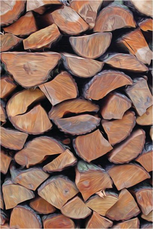 Ściana drewna - plakat premium 42x59,4 cm