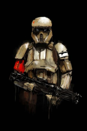 Star Wars Gwiezdne Wojny Szturmowiec - plakat prem