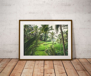 Tegallalang II - plakat premium 60x40 cm