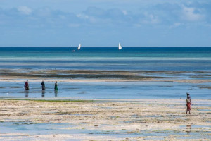 Turkusem malowane Zanzibar - plakat premium 59,4x4
