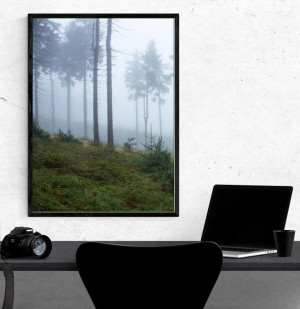 W mglistym lesie I, Góry Sowie - plakat premium 70