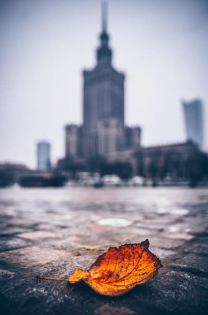 Warszawa Pałac Kultury i Nauki Jesienna Impresja -