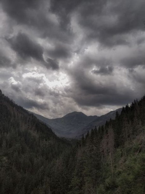 Widok na góry - plakat premium 20x30 cm
