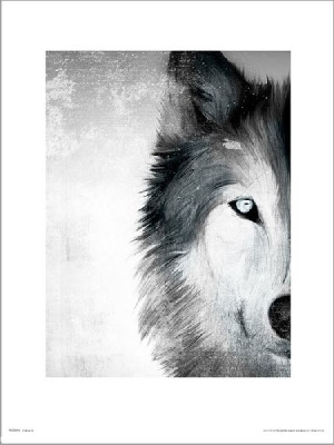Wolf Paint - plakat premium 40x50 cm