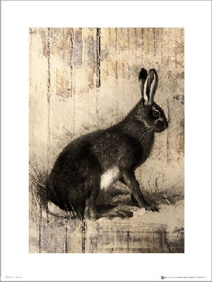 Zając Szkic - plakat premium 40x50 cm