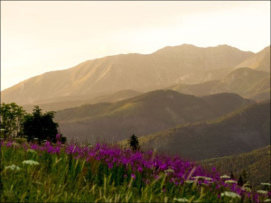 Widok na góry V - plakat premium 100x70 cm