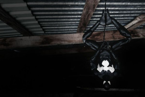 Black Spider-Man - plakat 100x70 cm