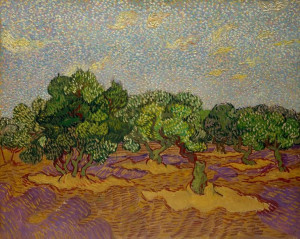 Olive Trees, Vincent van Gogh - plakat 100x70 cm