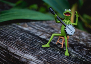 Kermit Żaba II - plakat 100x70 cm