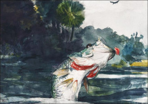 Life-Size Black Bass, Winslow Homer - plakat 100x7