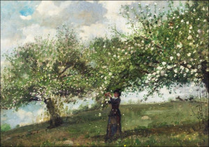 Girl Picking Apple Blossoms, Winslow Homer - plaka