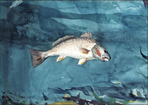 Channel Bass, Winslow Homer - plakat 100x70 cm
