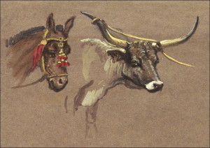 Head of a Mule with a Bridle, Head of a Buffalo or