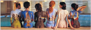 Pink Floyd Okładki Płyt - plakat 158x53 cm