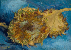 Sunflowers, Vincent van Gogh - plakat 100x70 cm