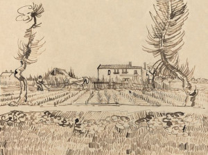Ploughman in the Fields near Arles, Vincent van Go