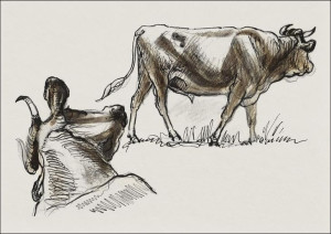 Sketches of Cattle, Irvingto, Samuel Colman - plak