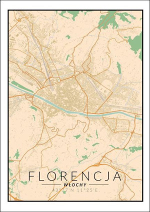Florencja mapa kolorowa - plakat 29,7x42 cm