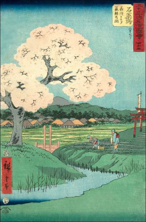 Ishiyakushi Yoshitsune’s Cherry Tree and the Shrin