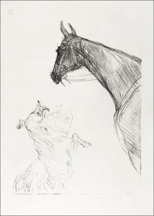 Horse and Collie, Henri De Toulouse-Lautrec - plak