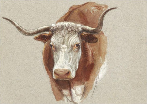 Head of a Cow or Ox, Samuel Colman - plakat 29,7x2