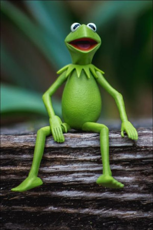 Kermit Żaba I - plakat 29,7x42 cm
