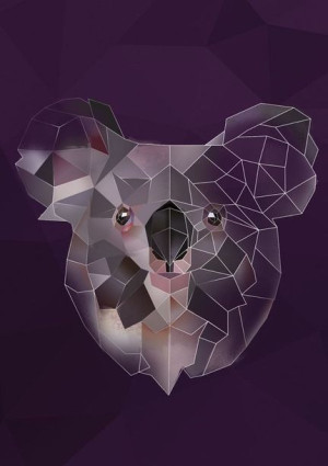 Koala - plakat 21x29,7 cm