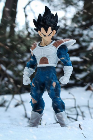 Dragon Ball Z - Vegeta - plakat 30x40 cm