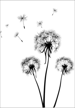 Dmuchawce - plakat 30x40 cm