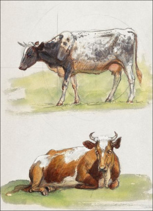 Cattle, a Cow Walking and a Cow Crouching, Samuel